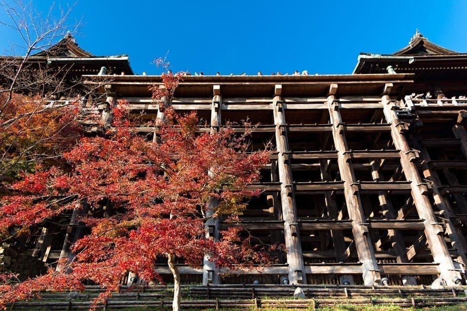 Kyomizu-dera temple from the bottom