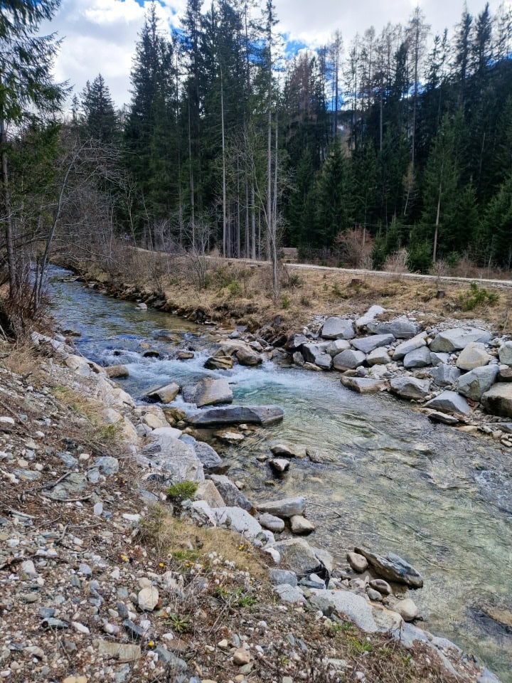 whitewater in river braies and a bike path next to it in dolomites, italy