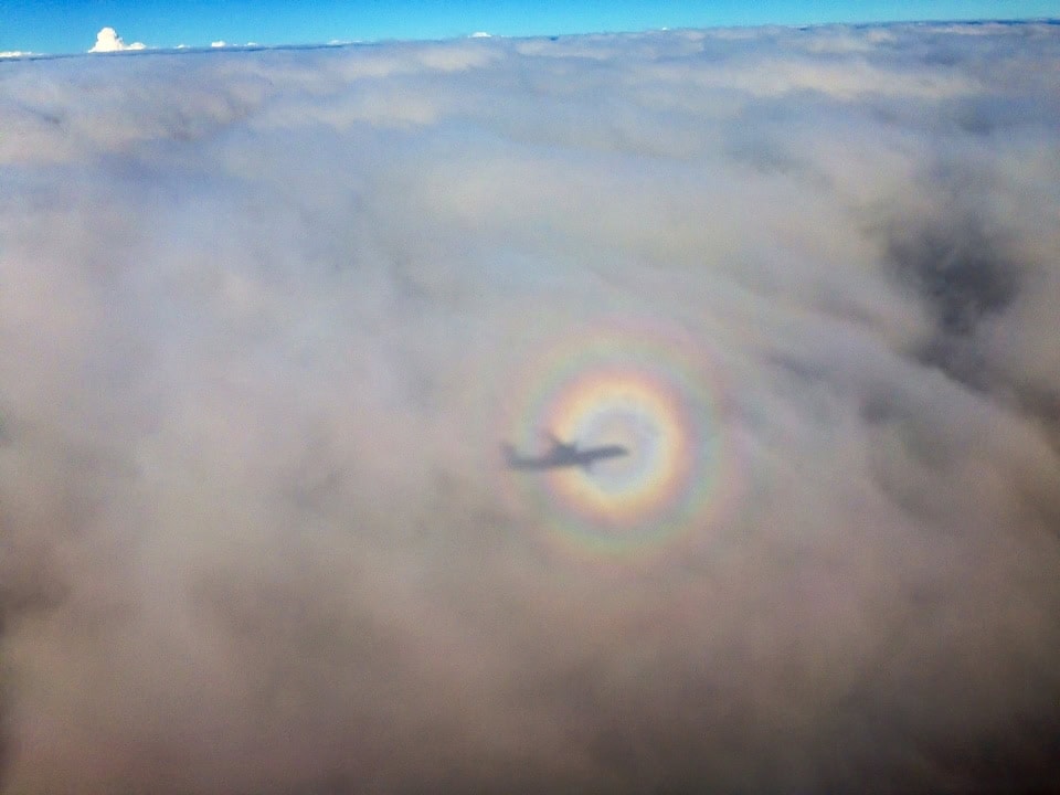 a plane shadow flying in a circular rainbow in a cloud - also known as halo