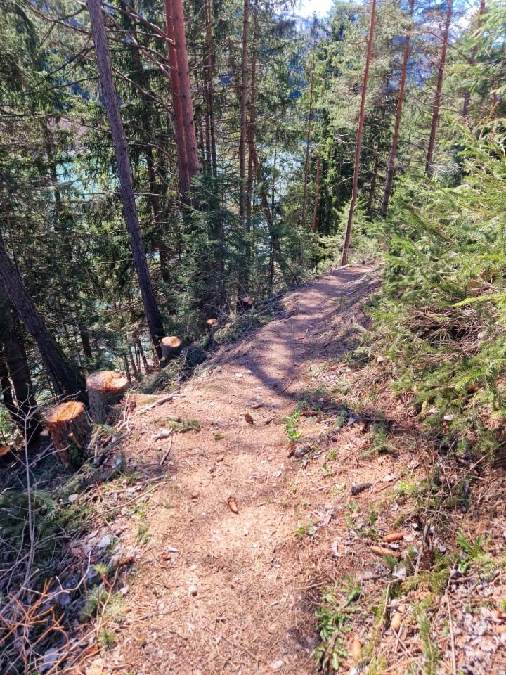 a forest trail down to lake Valdaora Dolomites Italy