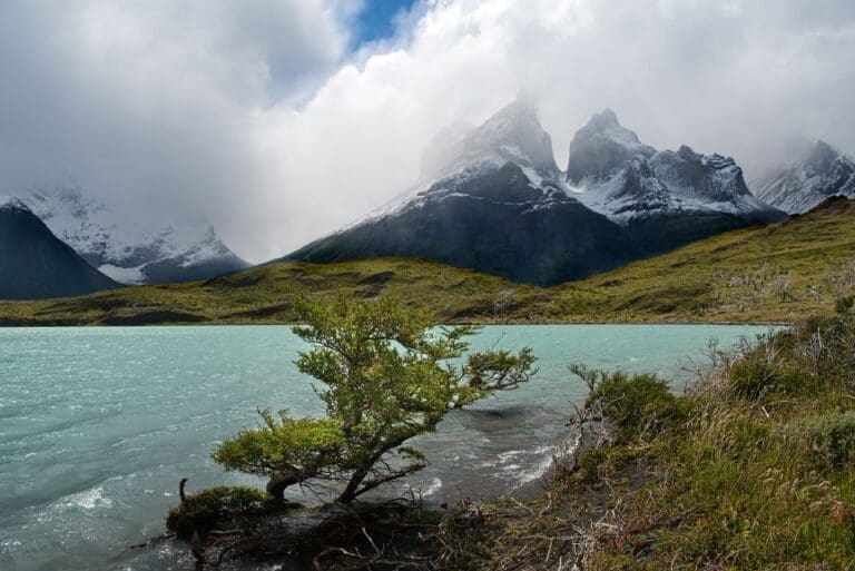 How to get to Torres del Paine? Easy! 5 best ways.