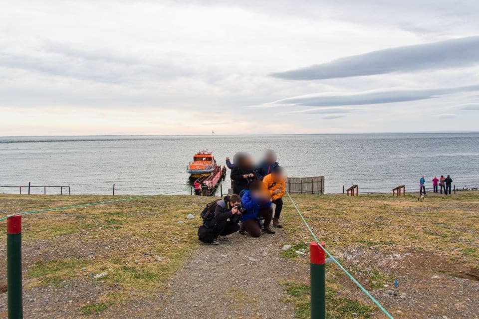 arrival to the isla magdalena to see penguins near Punta Arenas, Patagonia, chile