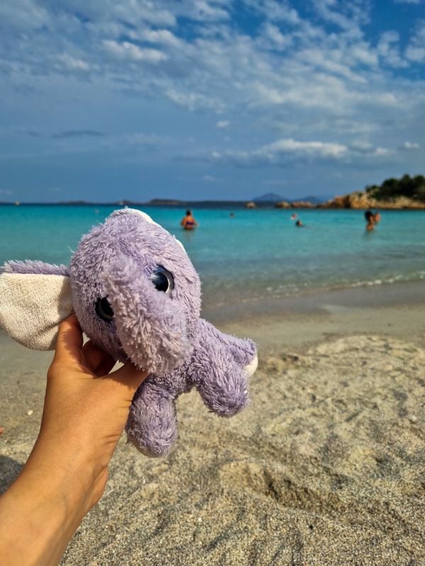 elephant toy on a beach - family road trip packing list