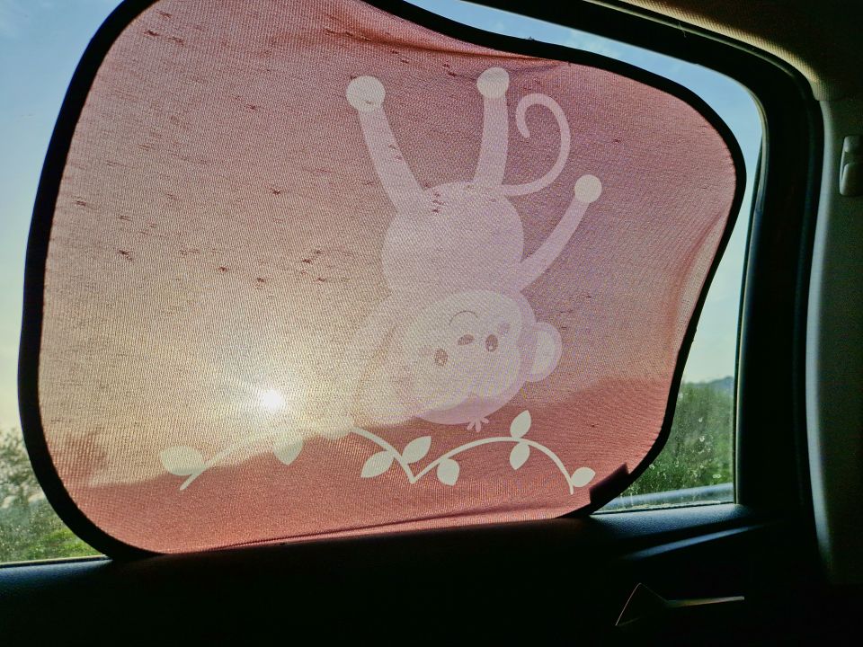 window shade on a window with a monkey on it upside down